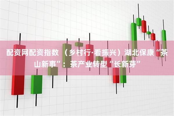 配资网配资指数 （乡村行·看振兴）湖北保康“茶山新事”：茶产业转型“长新芽”