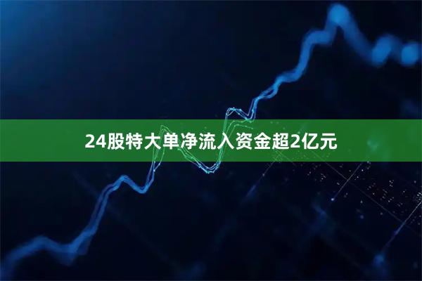 24股特大单净流入资金超2亿元