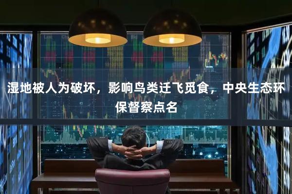 湿地被人为破坏,影响鸟类迁飞觅食,中央生态环保督察点名