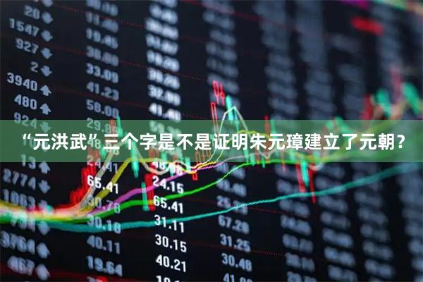 “元洪武”三个字是不是证明朱元璋建立了元朝?