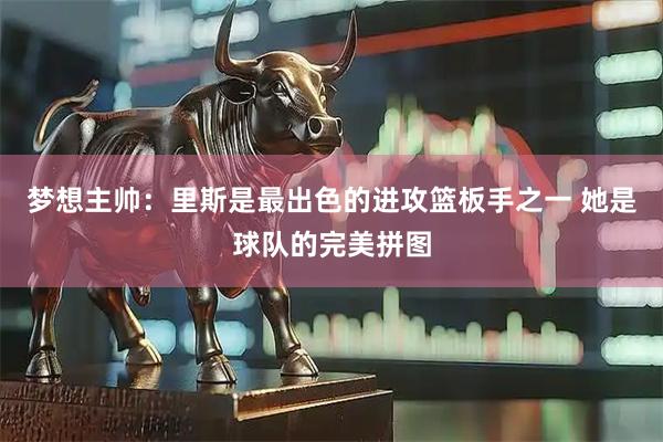 梦想主帅：里斯是最出色的进攻篮板手之一 她是球队的完美拼图
